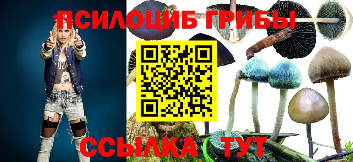 Галлюциногенные грибы Psilocybe  Вход с VPN  Златоуст 